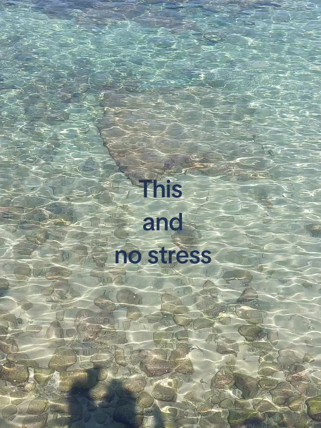 @elisa ͙⋆