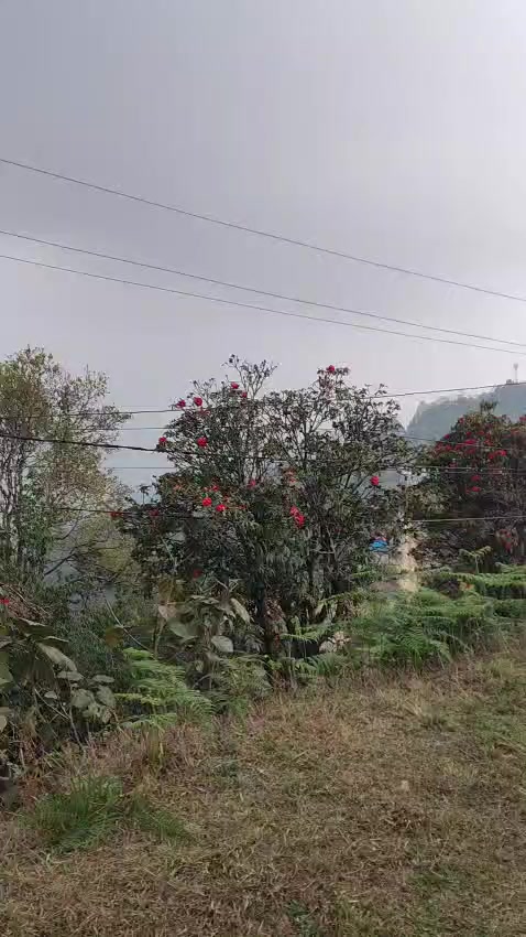 @Prava Baral