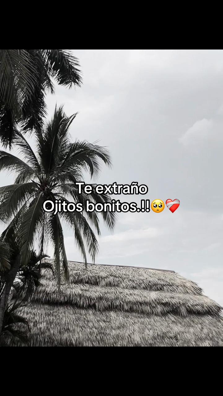 @Usuario No Encontrado.