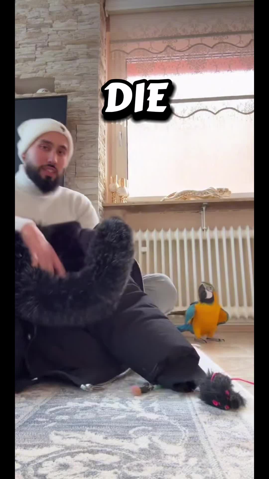 @Shankshaki
