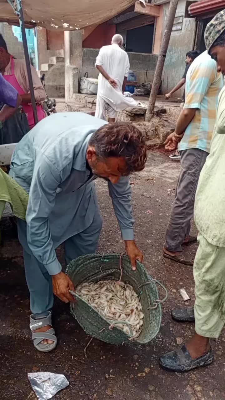 @M akram shikari