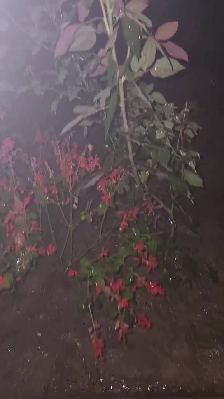 @Tahiirz