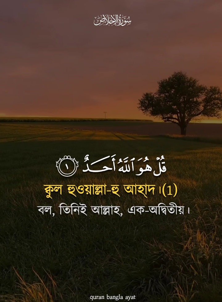 @➤⃝⃝কুরআনের বাণী᭄quran Bangla