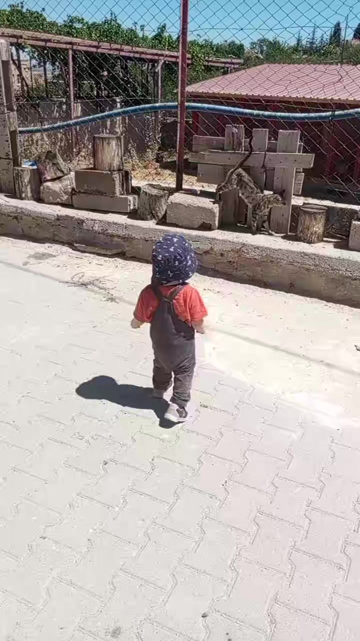 @Tahsin_Piko
