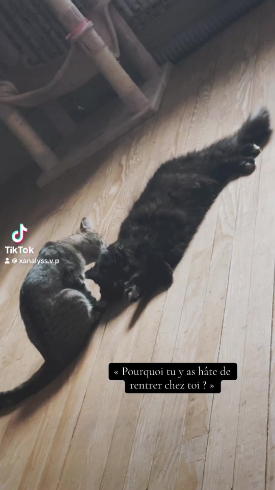 @𝐀𝐥𝐲𝐬𝐬