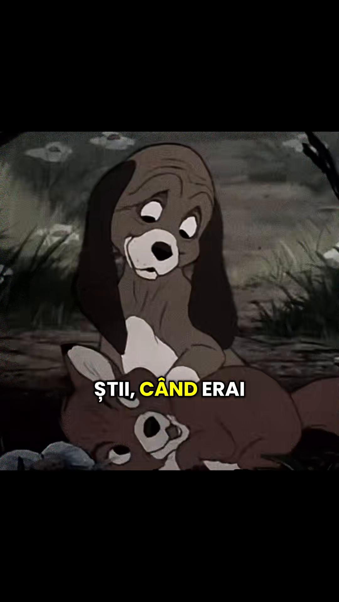 @sergiu_valentin6