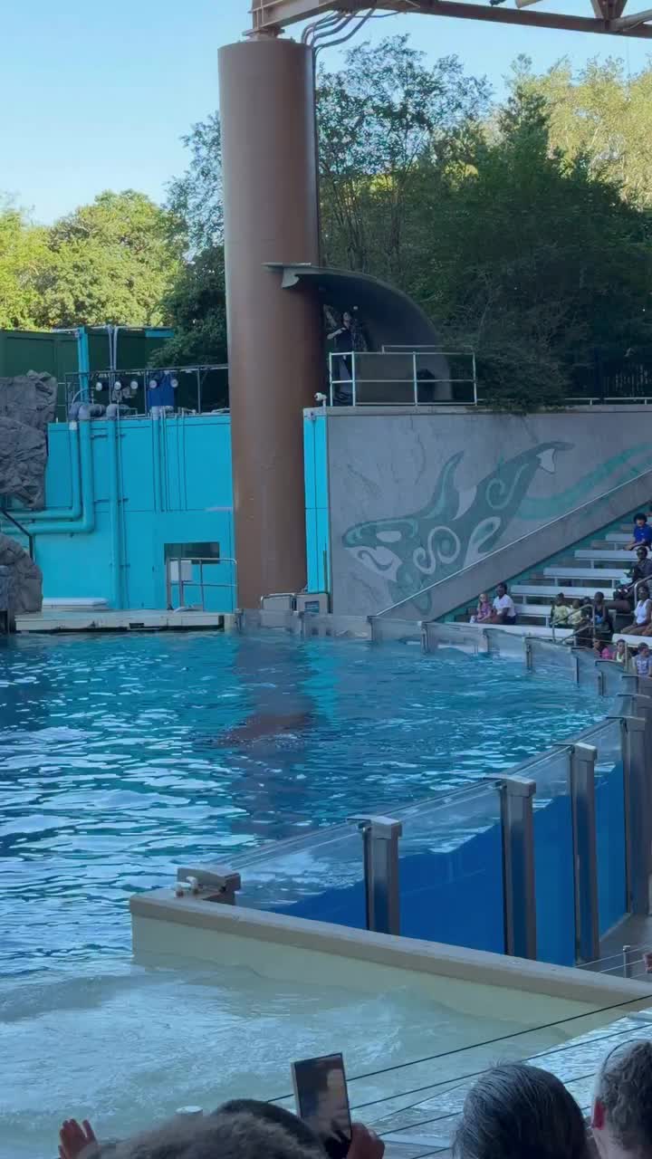 @Dolphin 🐬 World 🌎