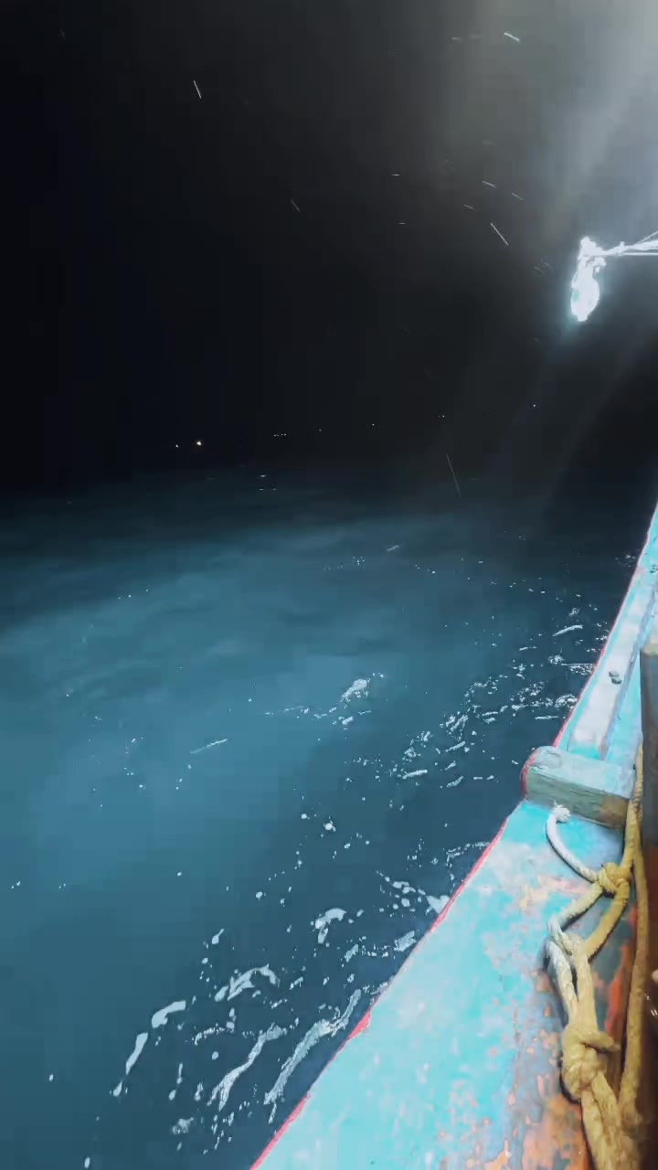 @𝙙𝙖𝙞𝙥𝙝𝙖𝙩 77