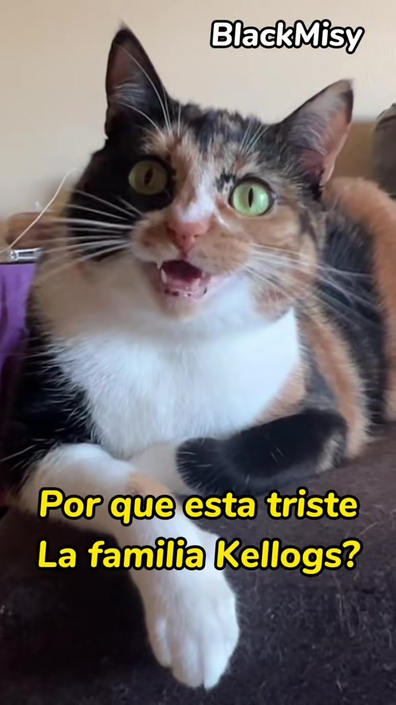 @BlackMisy