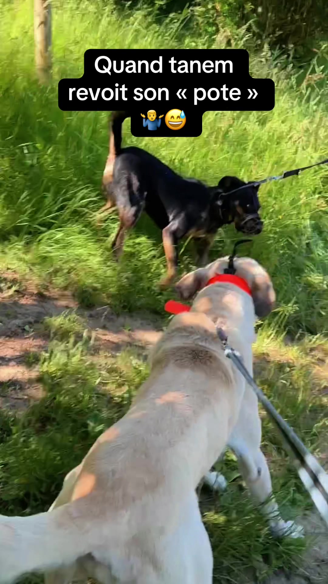 @Purekangal