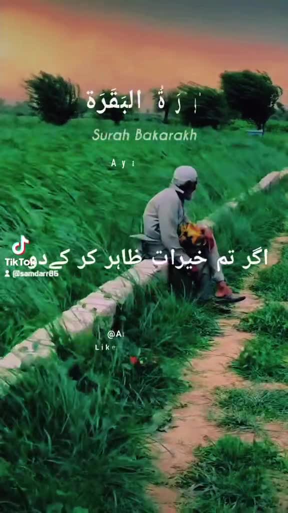 @shab 2017