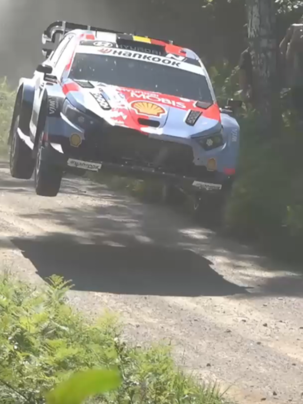 @LB77 Rally