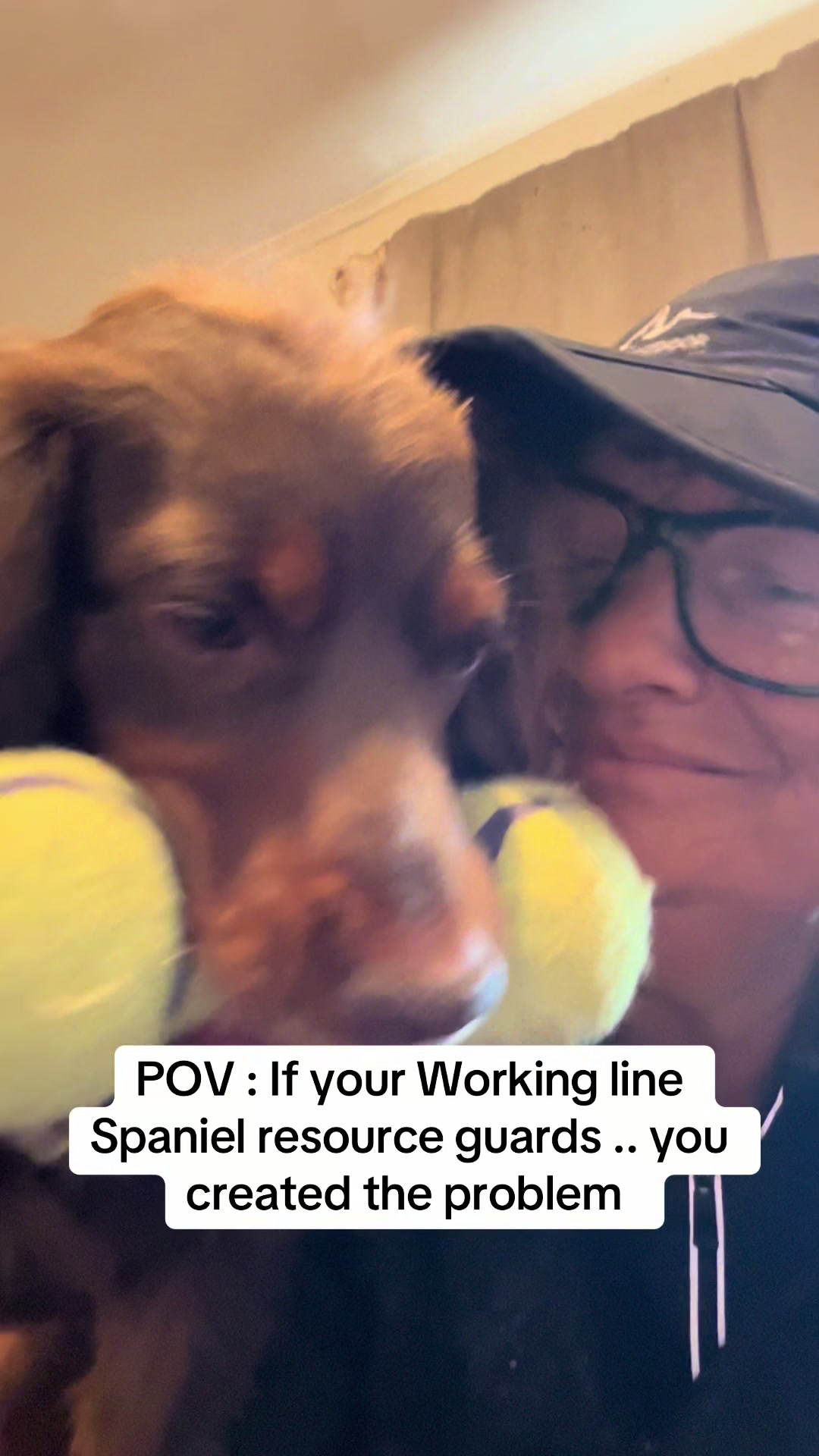@Pipstar 🐕🦺