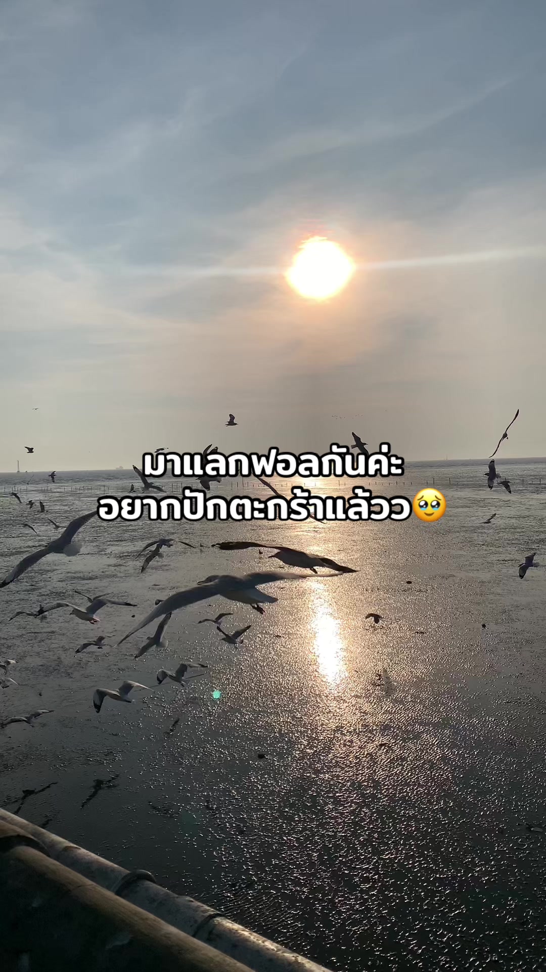 @songxttny