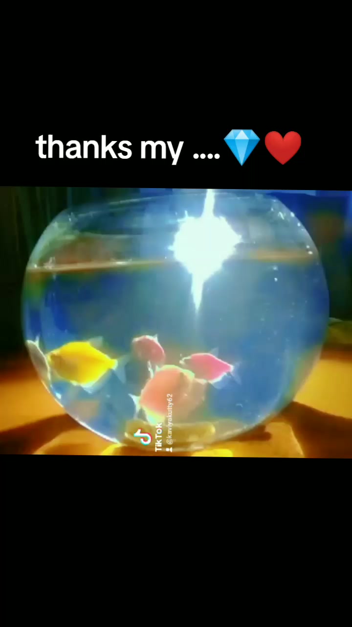 @❤😘M.T Dady ponnu👸.Kavi😘❤