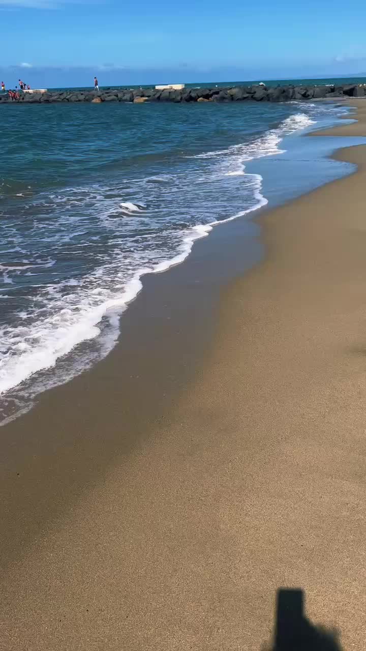@༒S༒N༒I༒P༒E༒R༒