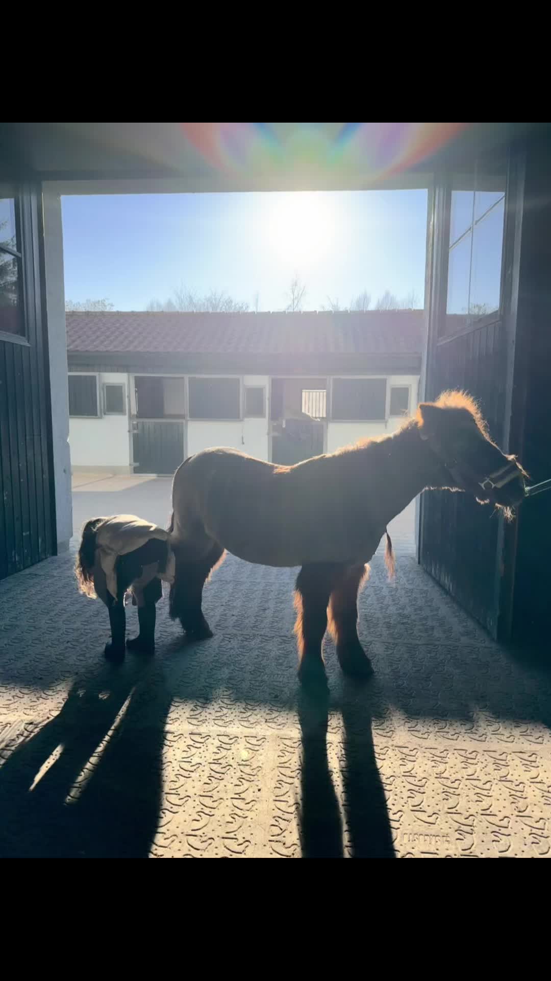 @EquestrianRana