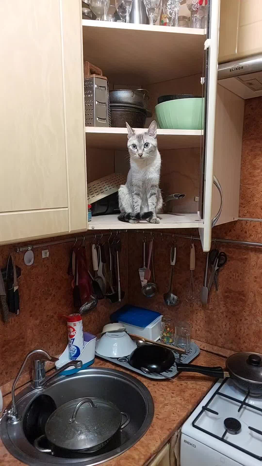 @Дима Земчихин