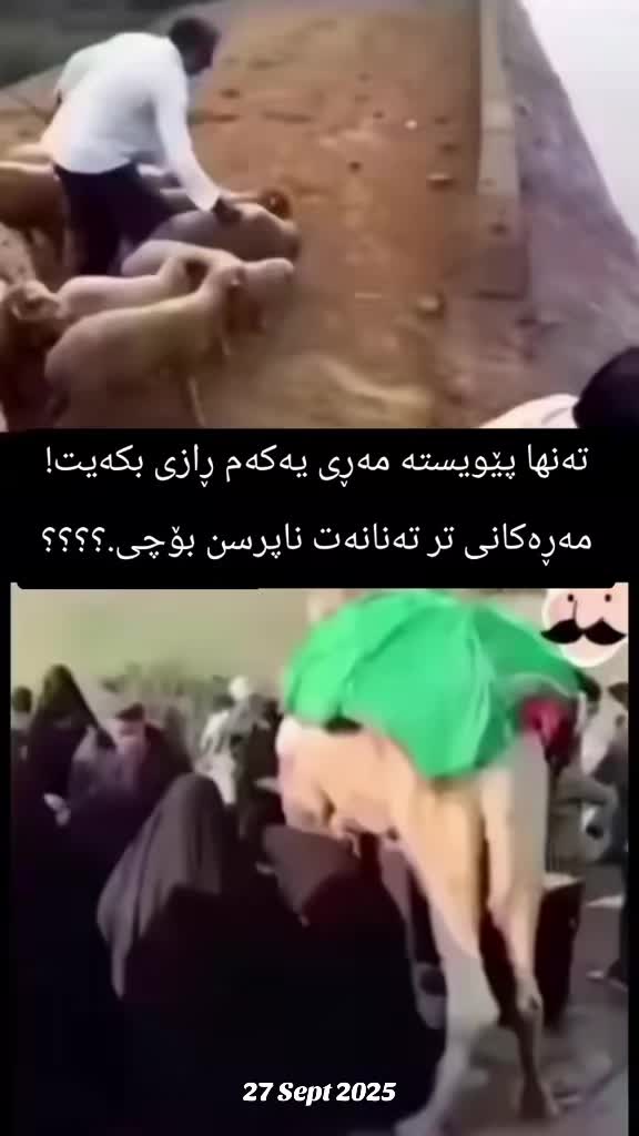 @Ari mustafa taha