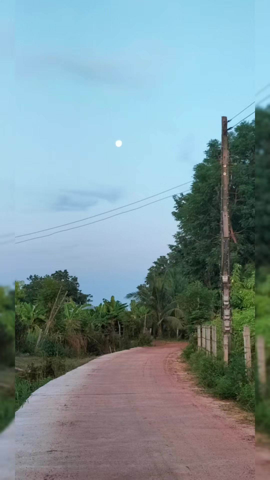@Surasak Wongnet