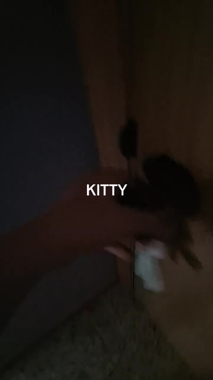 @Starᰔ