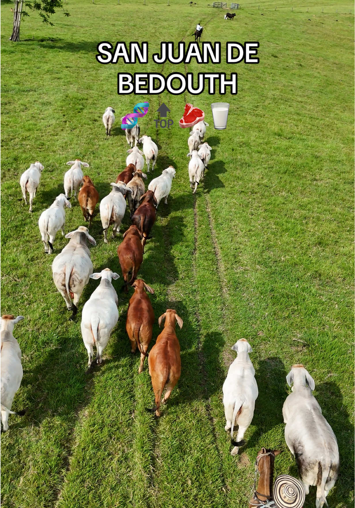 @San Juan de Bedouth
