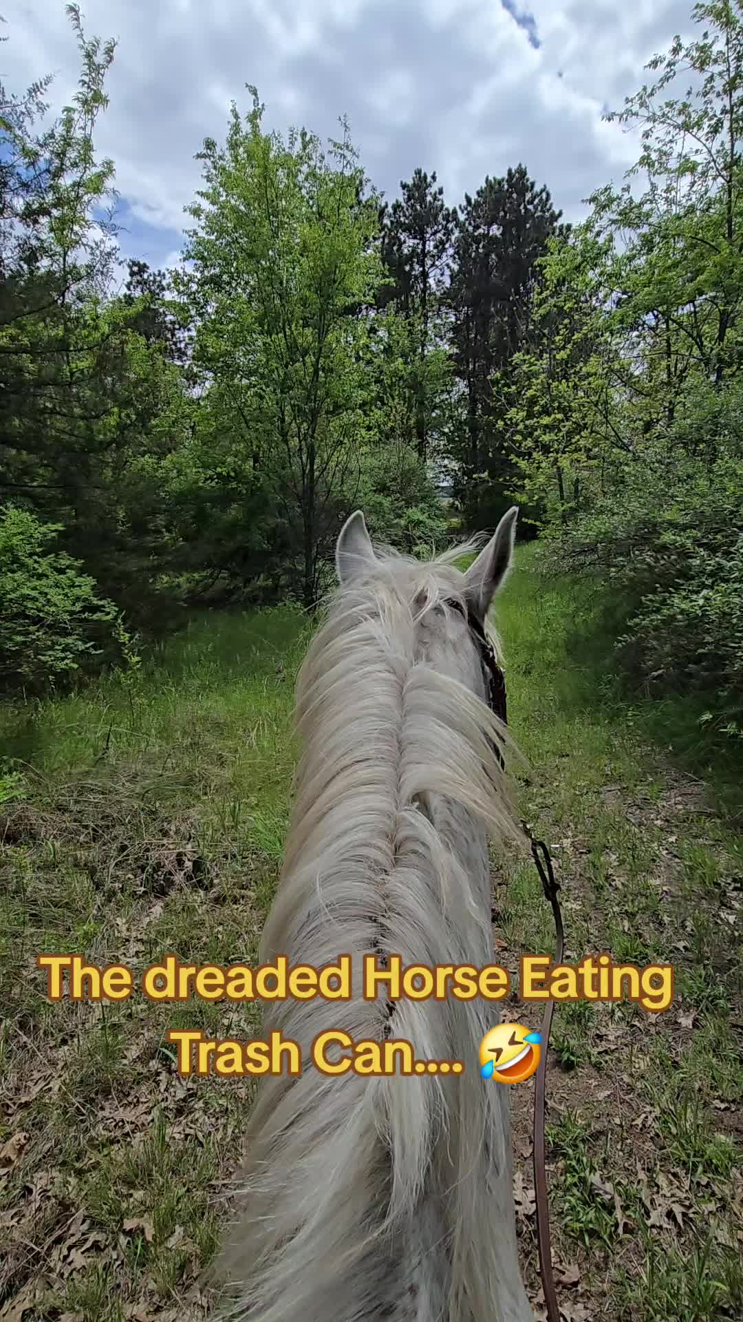 @Small Town Farm LLC