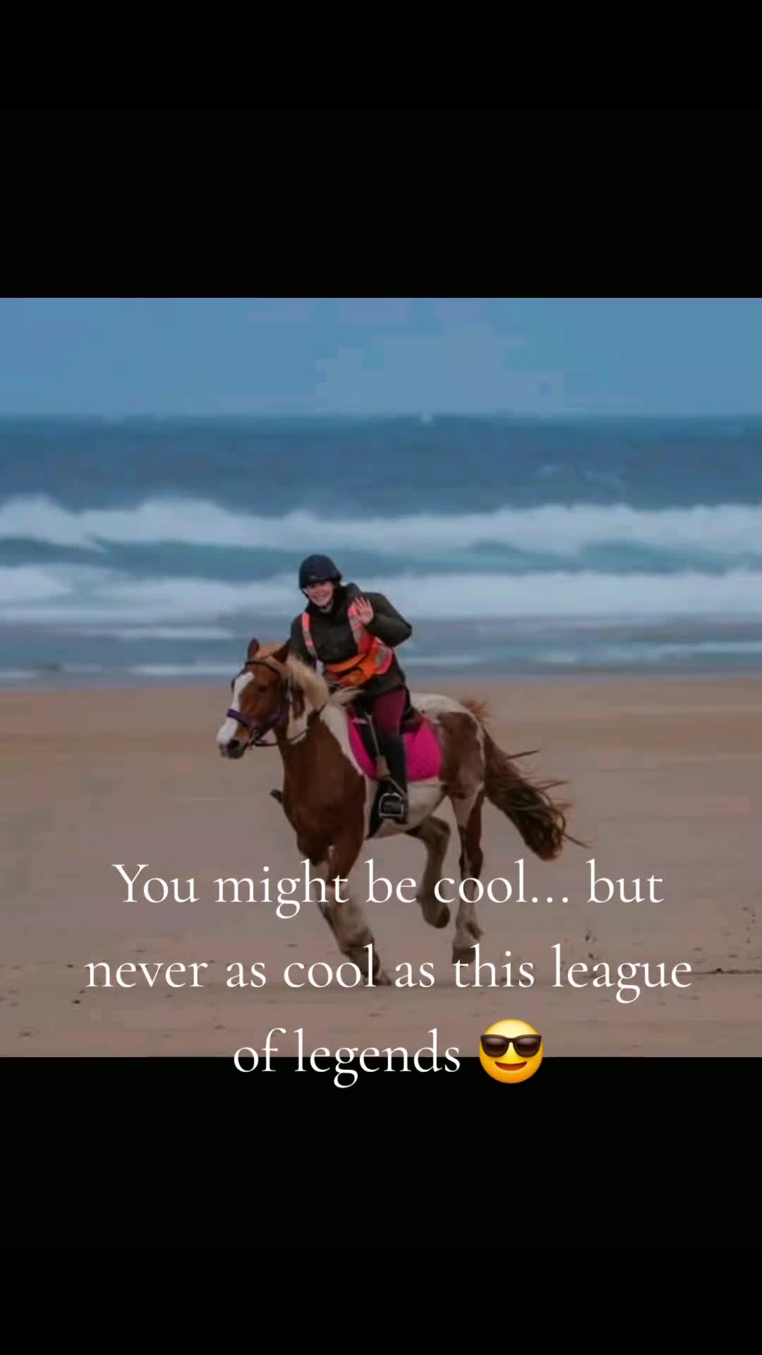 @Sinead 🐴 🖤💜🏍