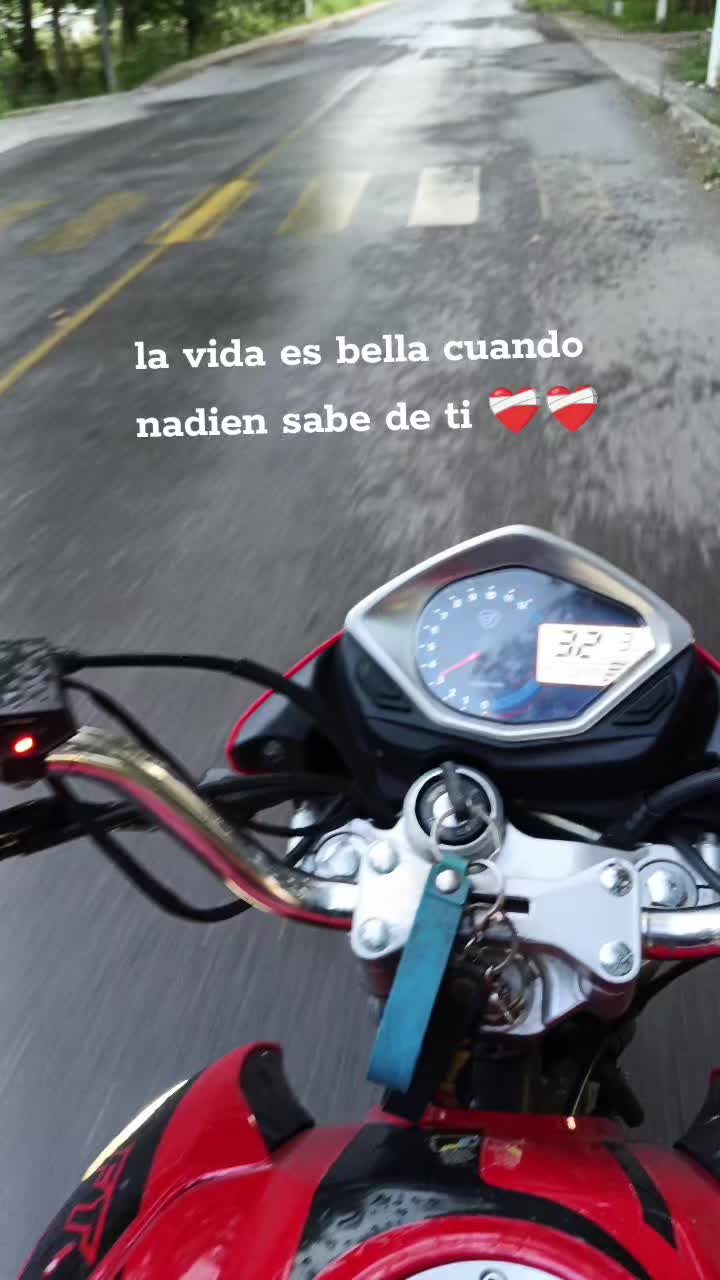 @︻デ🇲🇽P̷a̷l̷e🇲🇽══━一