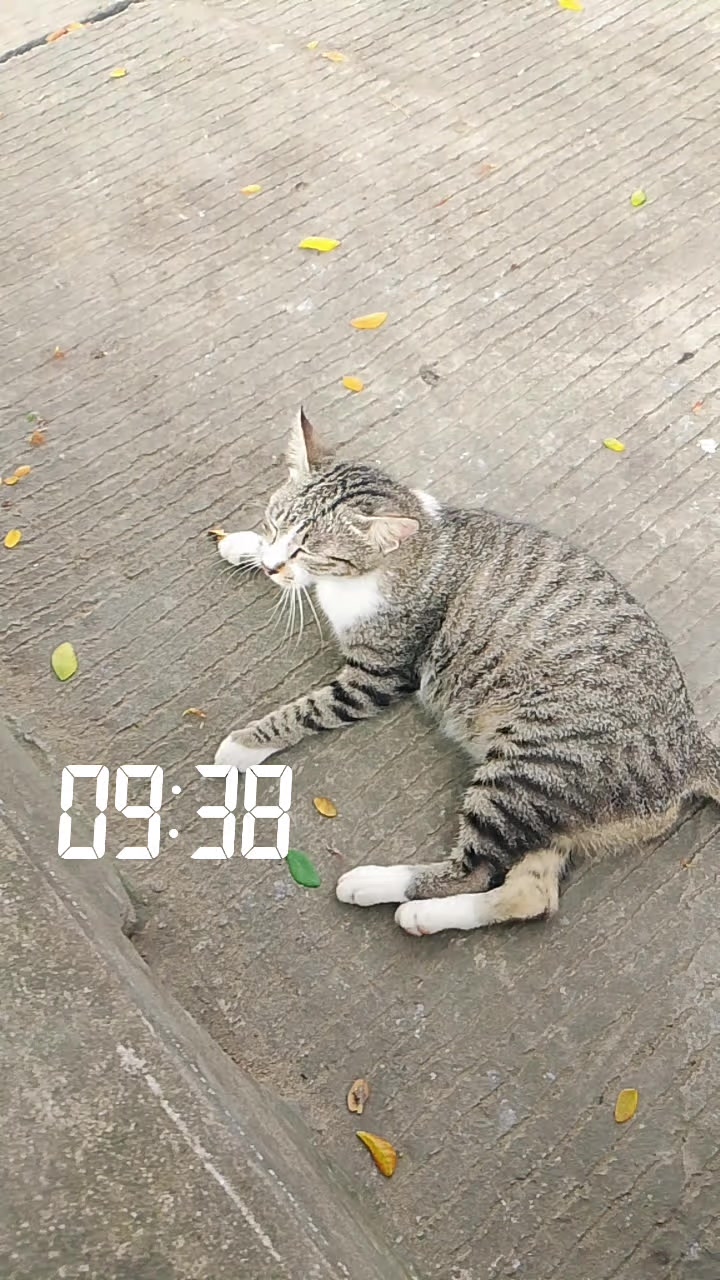 @Aisyah Samarinda