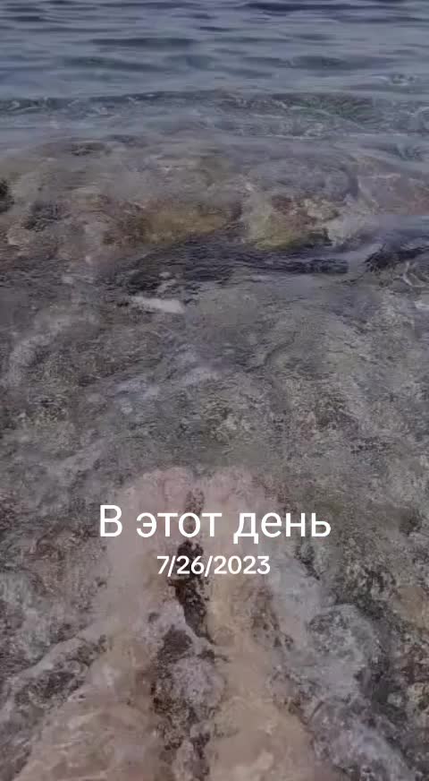 @marusechka