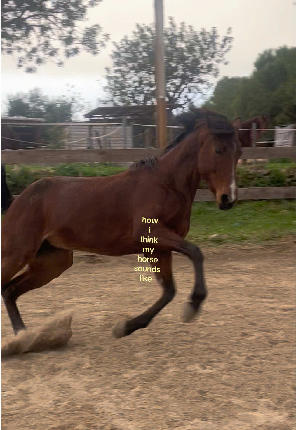@𝕮𝖍𝖆𝖘𝖊