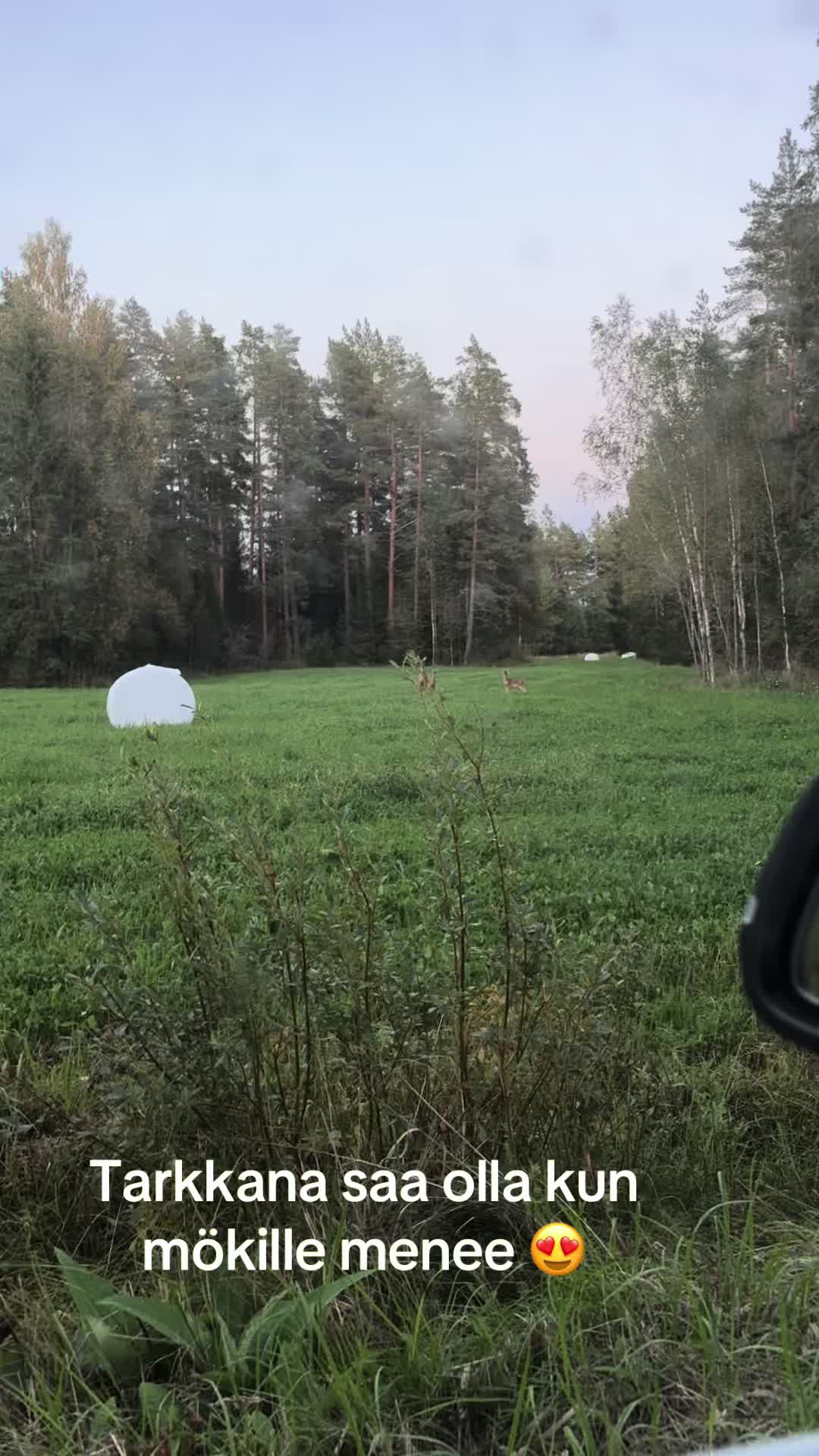 @_TienP&auml;&auml;ll&auml;_