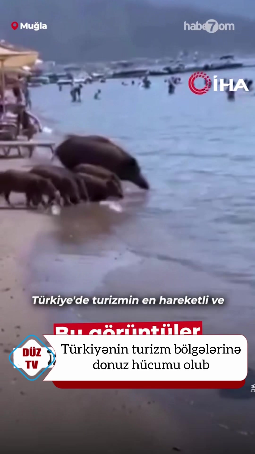 @Duz_tv_news