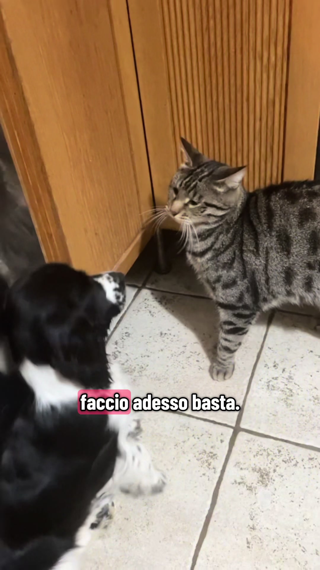 @Flavia Baldini