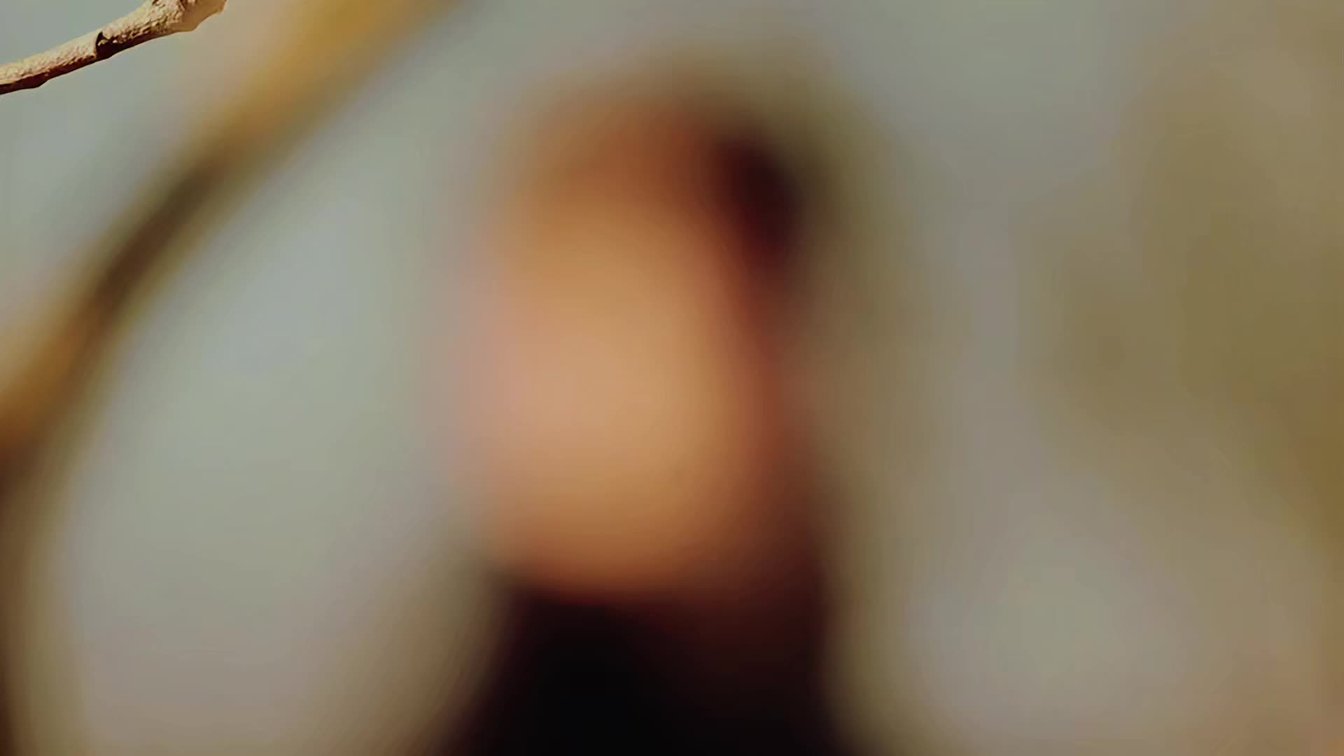 @a.hadi.di