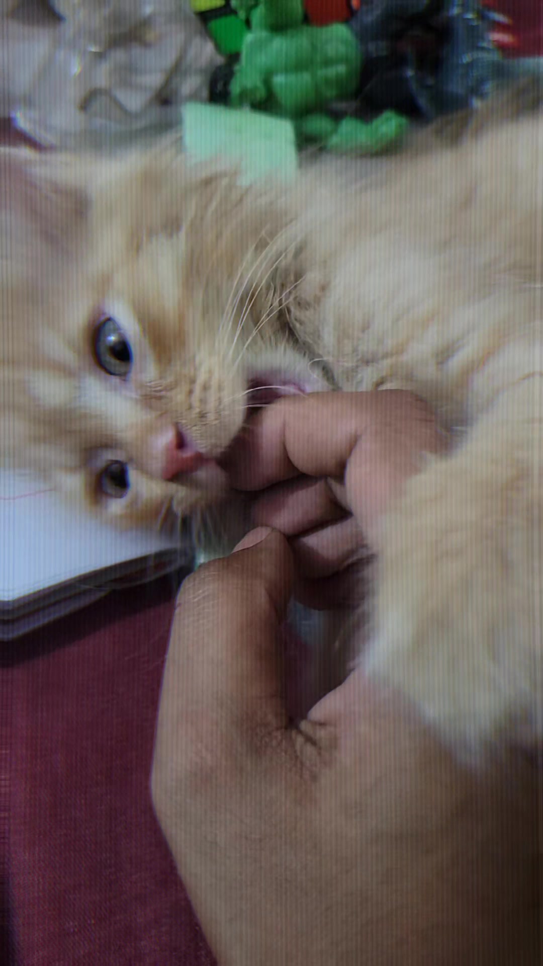 @নদী