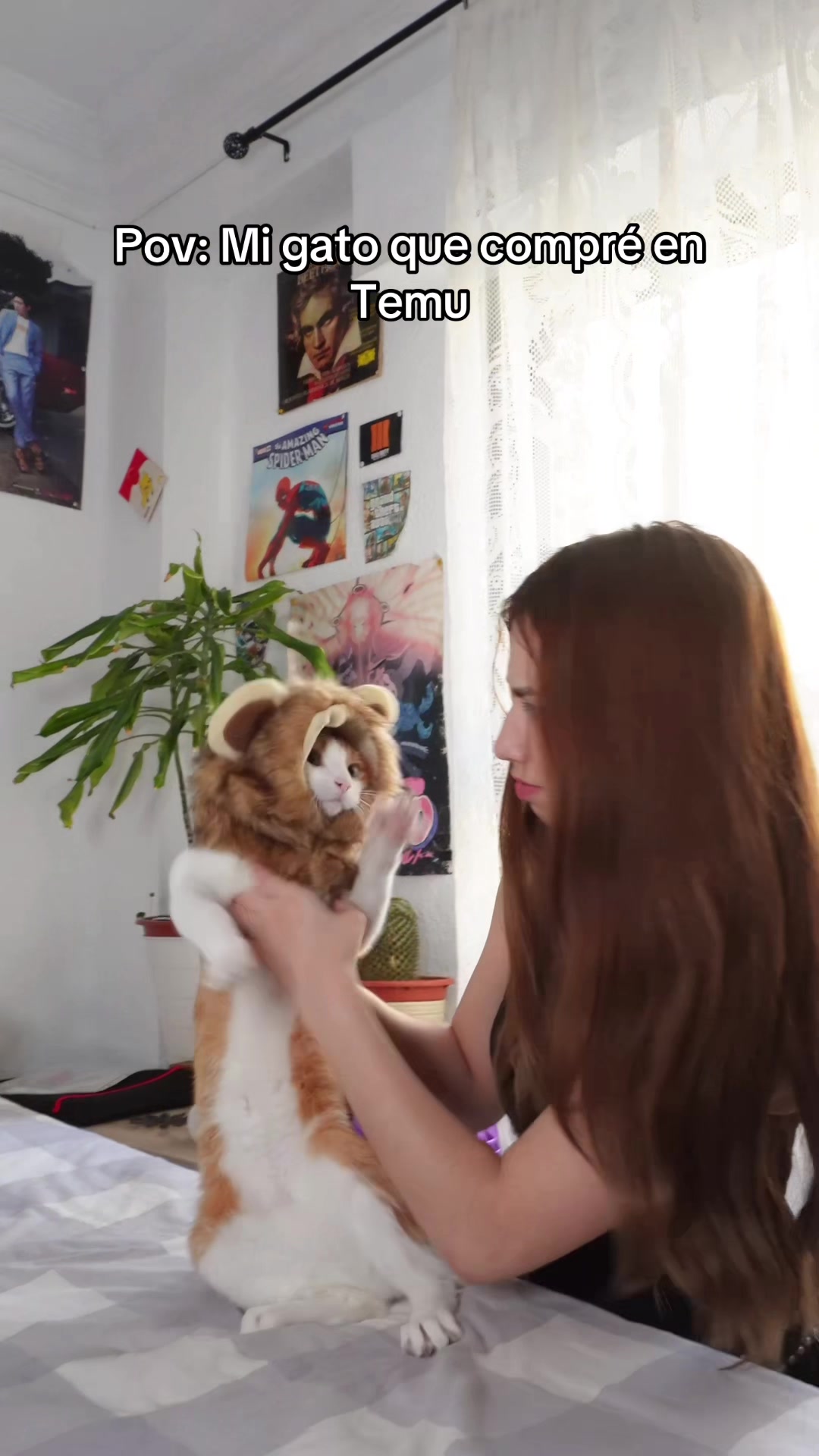 @Mireii 🦊