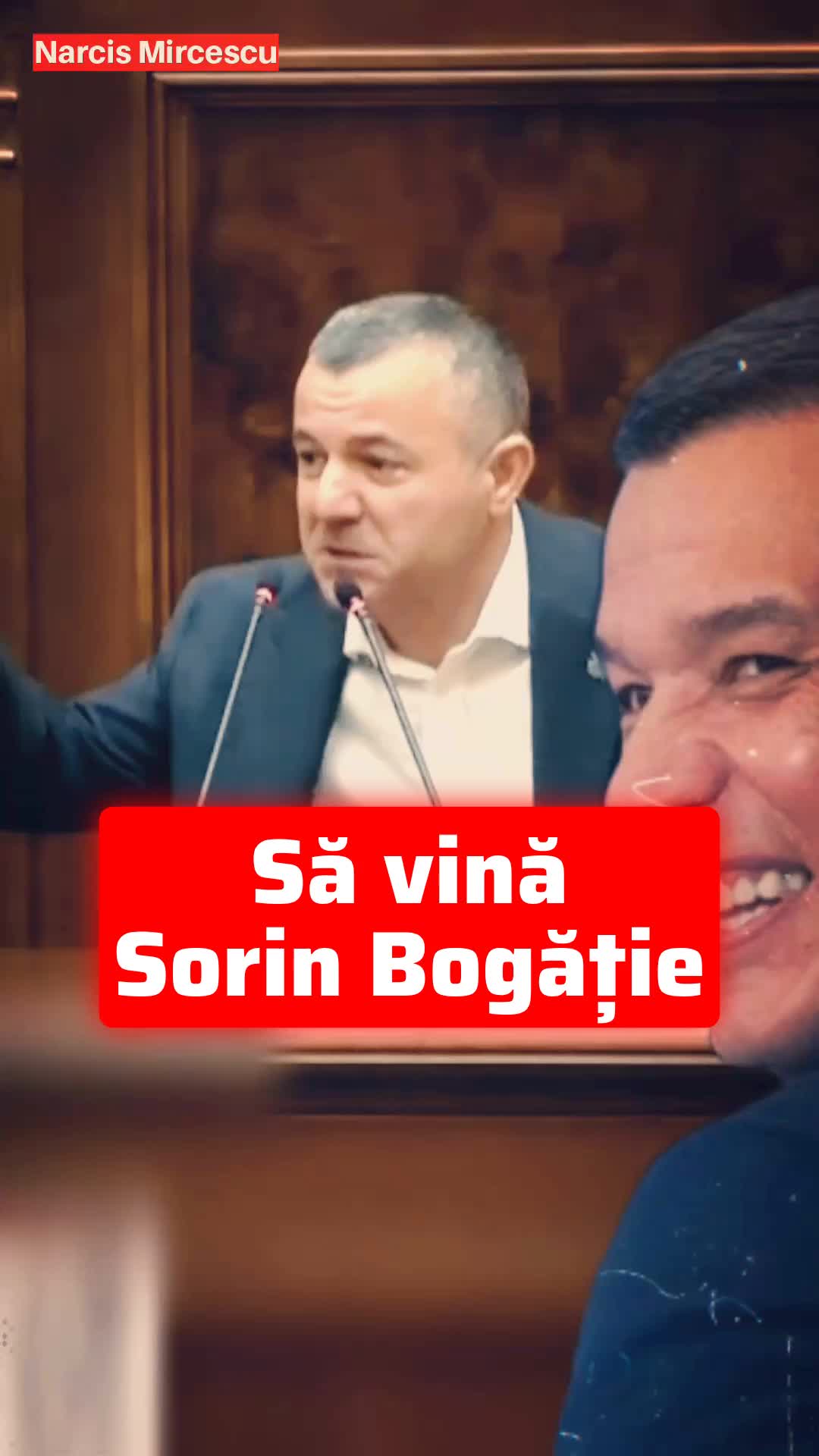 @Narcis Mircescu