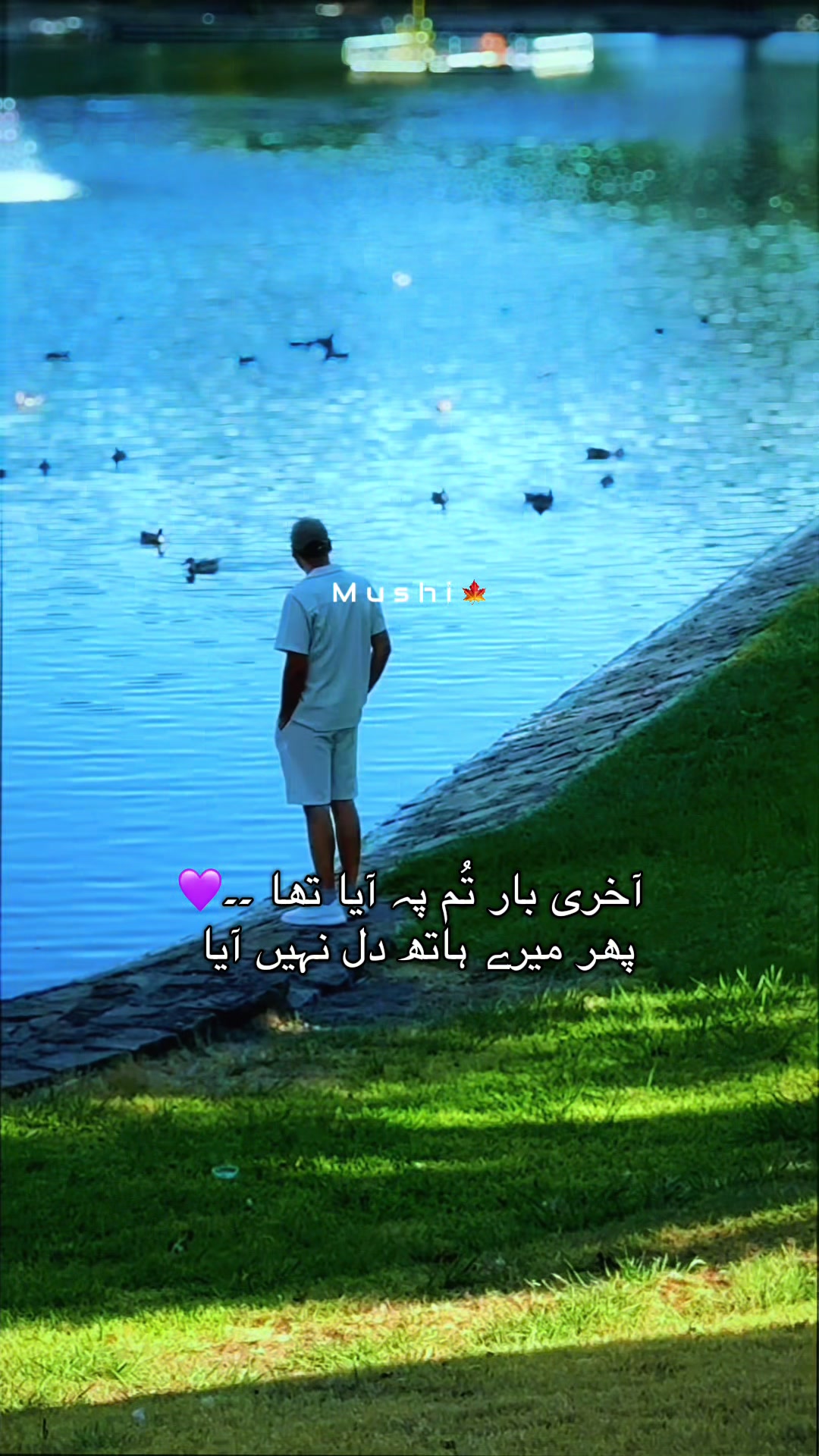 @Ayzal🍁Mushi