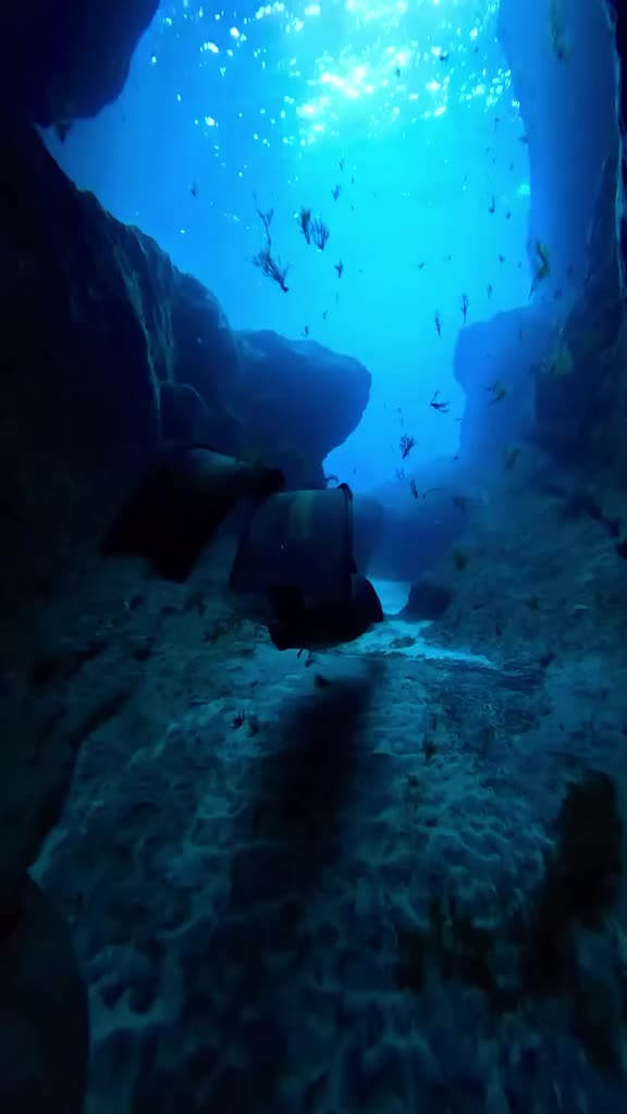 @VisitGozo