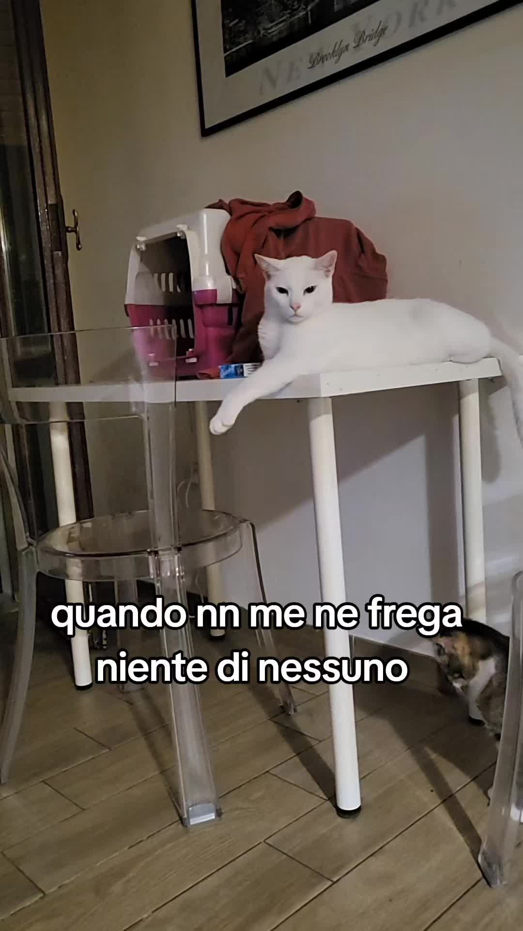 @Valentina Orlando