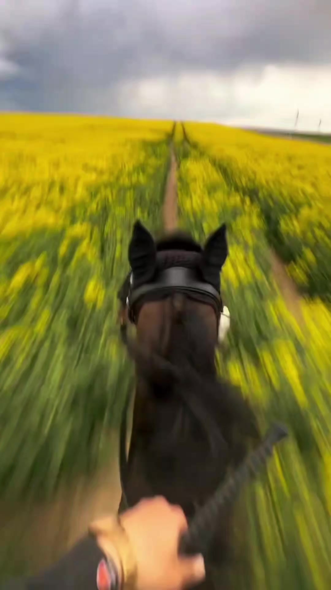@🐎타는바린이🏍