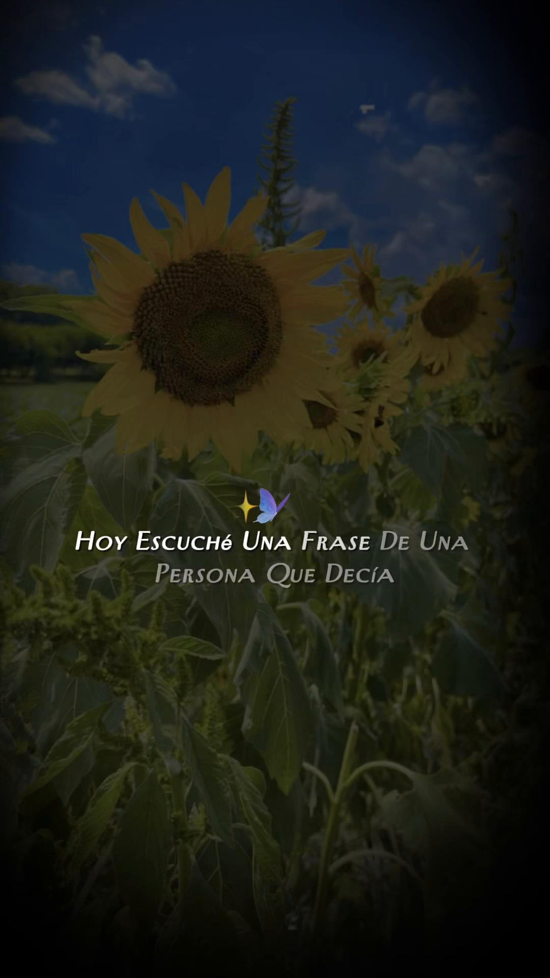 @🌹💕Jathzely🌹💕