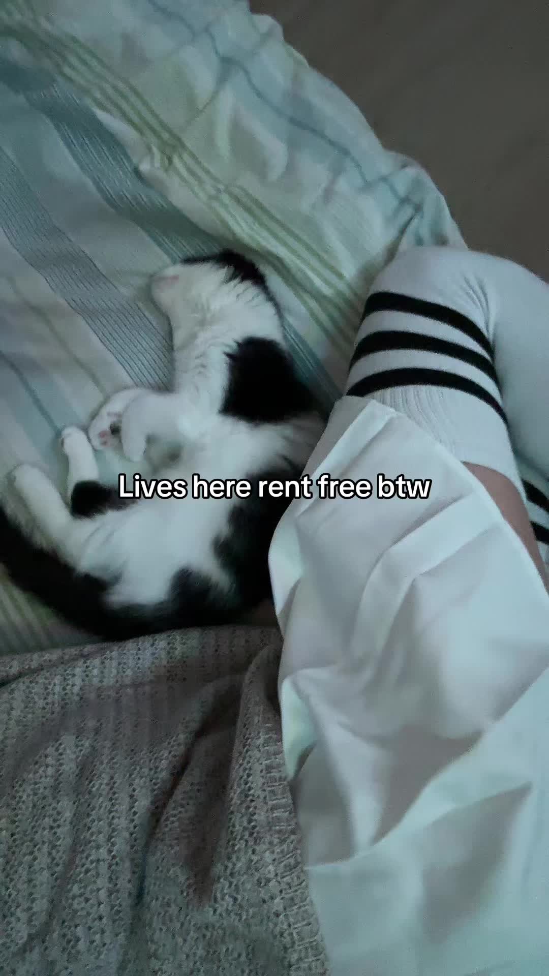 @Jarl Suki