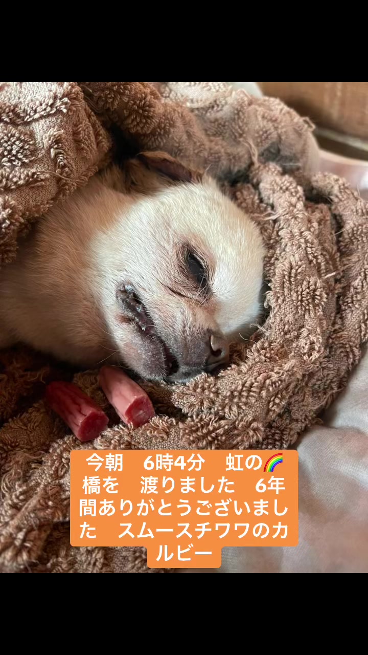 @大将