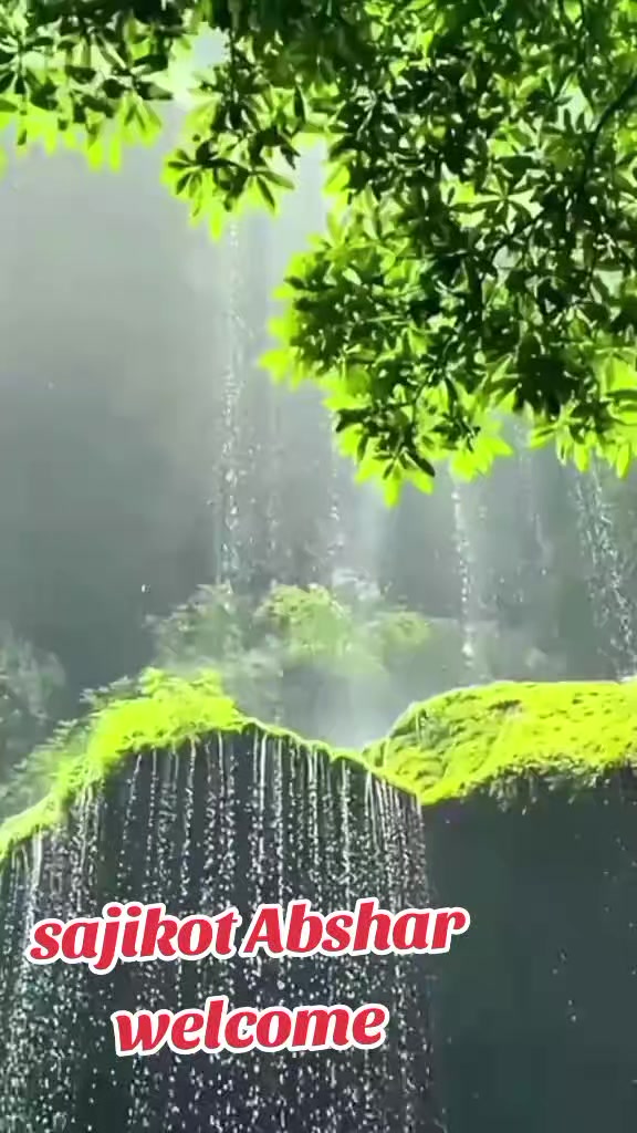 @muhammadsaddique8622