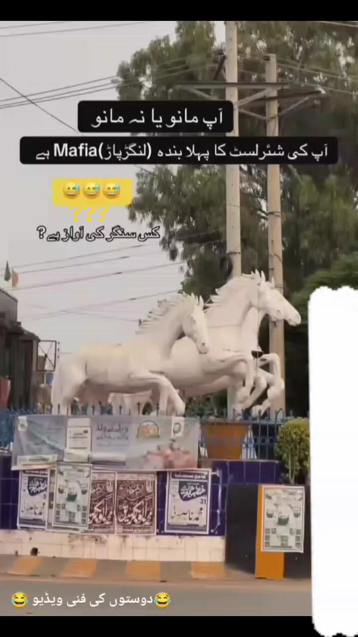@Naini jani❣️❣️❣️.....