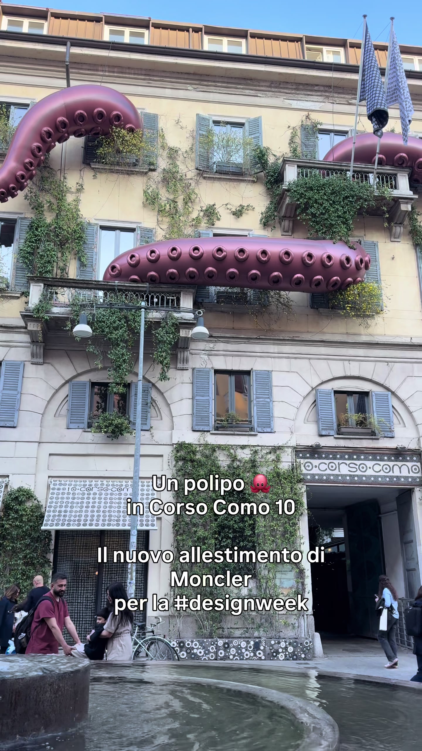 @Francesca Grignaffini