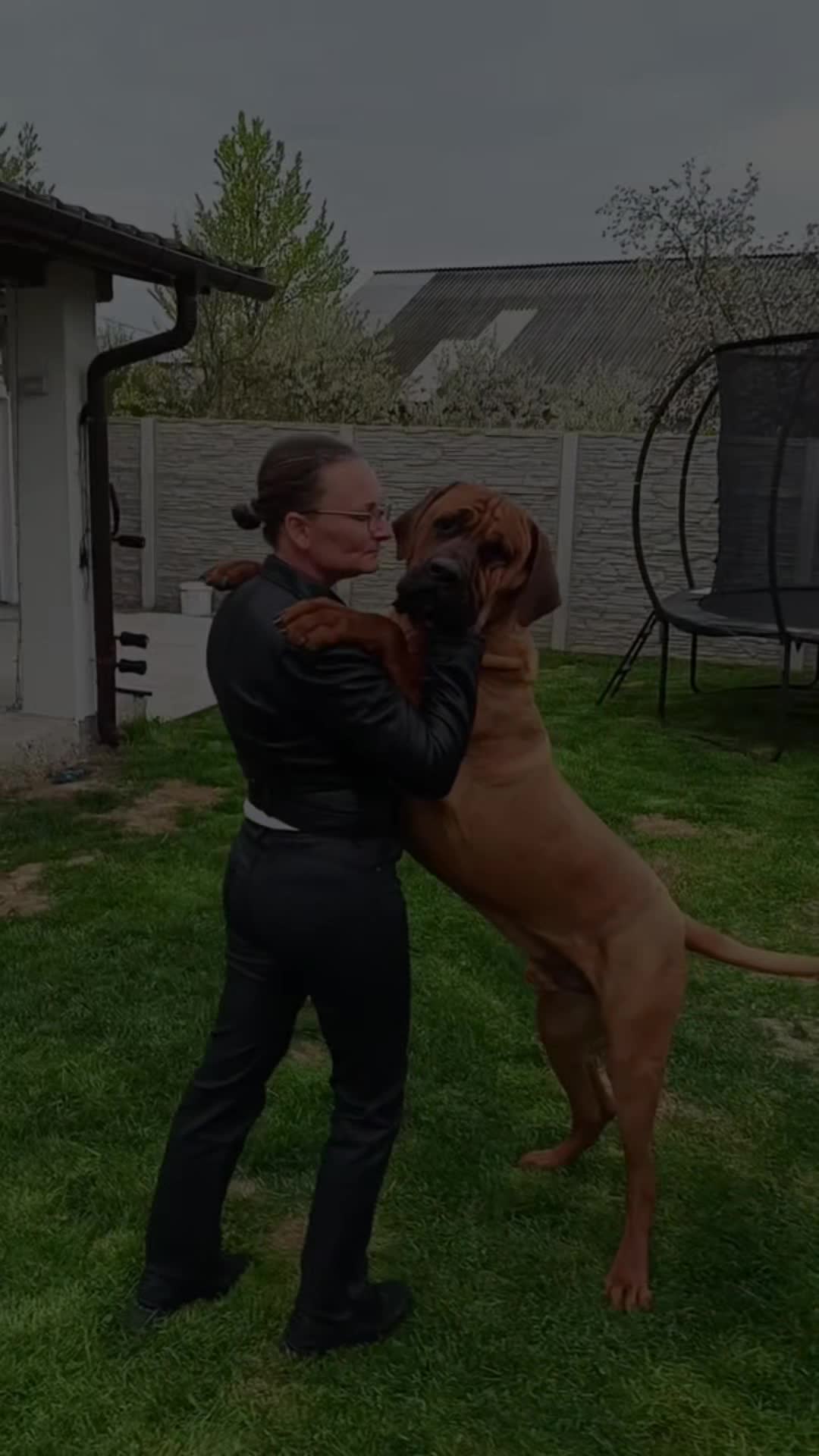 @Spirit of Asia Kennel
